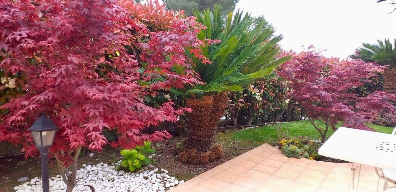 Villa Gaia - Luxury Villa, Pool & Wellness Rooms Bordighera Buitenkant foto