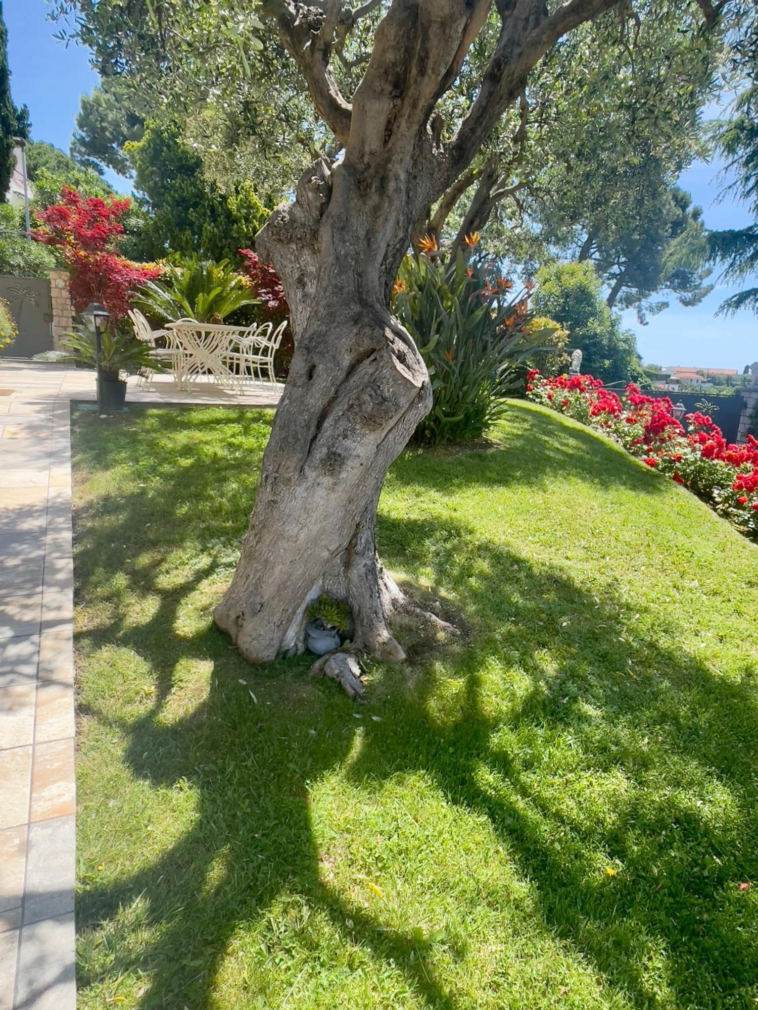 Villa Gaia - Luxury Villa, Pool & Wellness Rooms Bordighera Buitenkant foto
